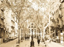 barcelona-neighbourhoods-neighborhoods-zones-areas-barrios-districts-born-borne